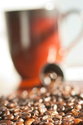 coffee beans close-up