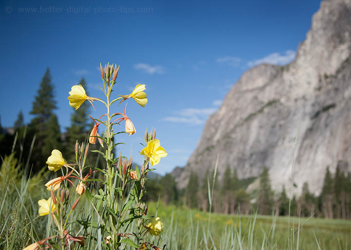 Yosemite valley.