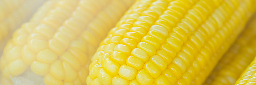 corn up close