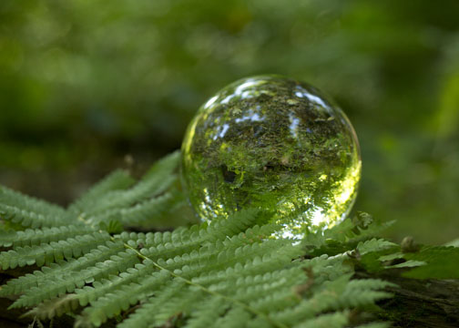 Crystal ball close-up