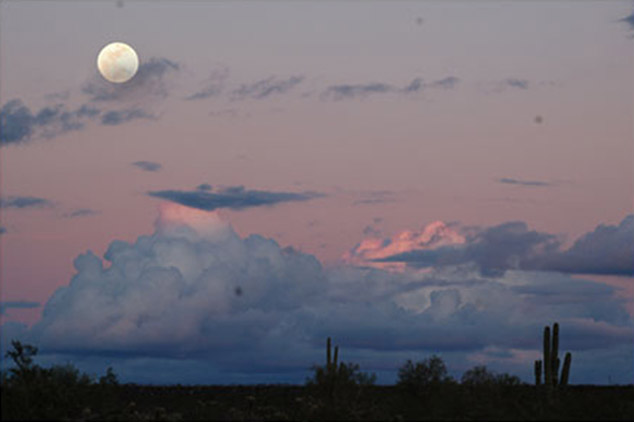 Moonlit Desert