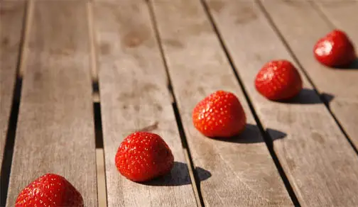 Diagonal row of Strawberries