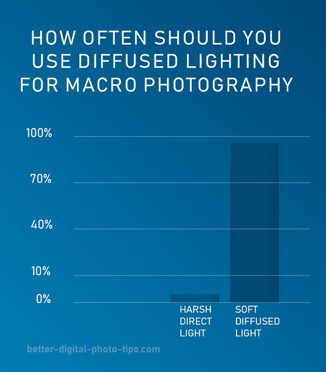 Diffused macro lighting infographic