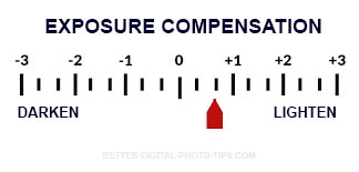 Exposure compensation scale