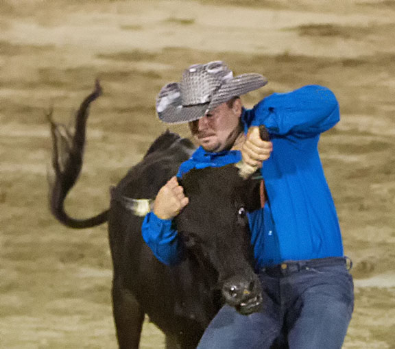 Steer wrestler