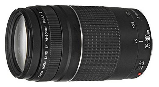 A good lens for wildlife photography