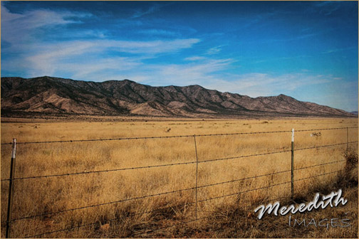 Hazel Meredith Nature Photo