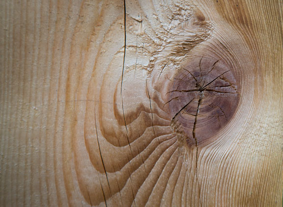 Close-up wood fence