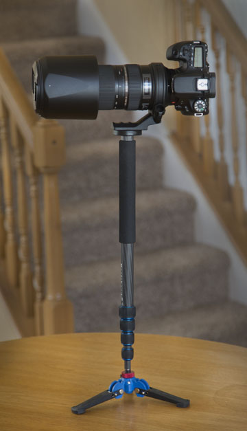 Monopod-mounted Tamron 150-600