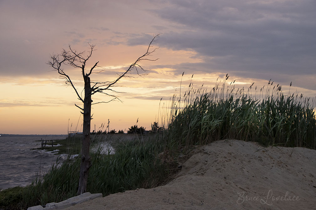 Landscape photo at 1/80 second shutter speed