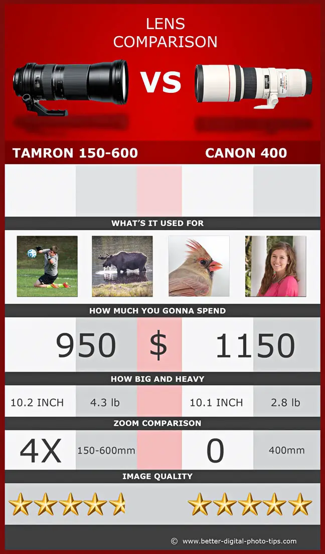 Lens Comparison Tamron 150-600mm vs Canon 400mm Prime Lens