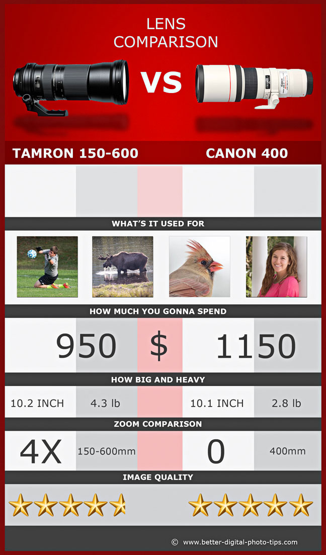 Lens Comparison Tamron 150-600mm vs Canon 400mm Prime Lens