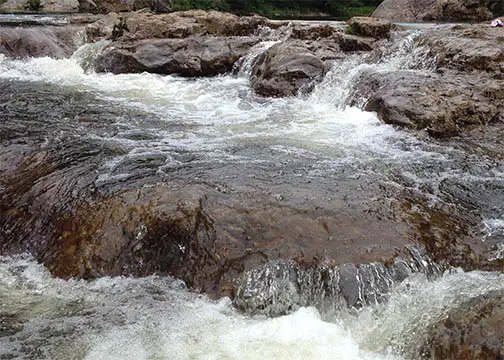 Loyalsock creek water