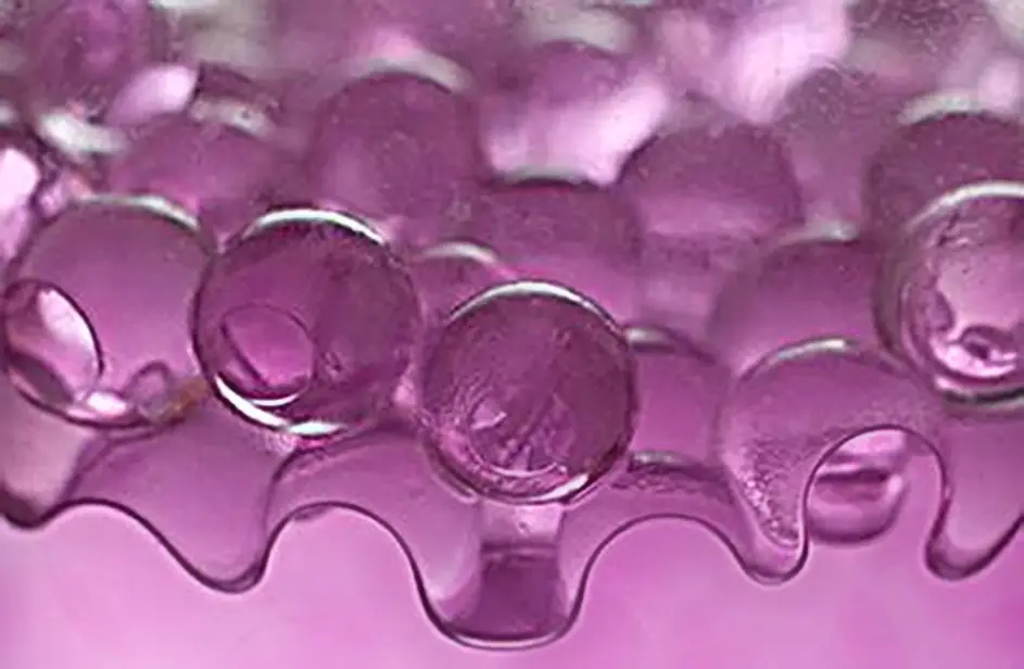 macro photo of water beads