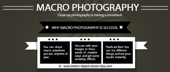 Macro Photography advantages