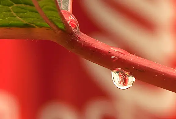 Macro photo of water drop and can of Coke