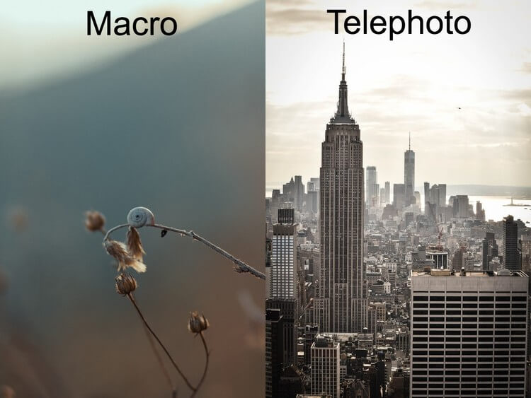 Macro Vs. Telephoto for Distance