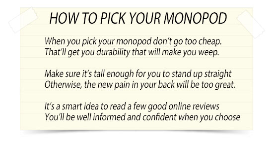 Confused about monopods?  Here is what you need to know about camera monopods,video monopods and walking stick monopods