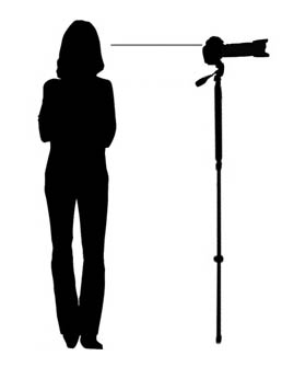 Monopod height illustration