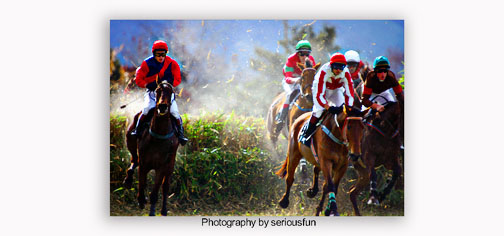 Serious action going on in this picture of racing horses