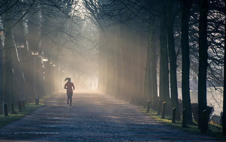 Call it "sweet light." Soft and directional lighting. Examples showing how to use morning light to get stunning photos-Make ordinary subjects look extraordinary