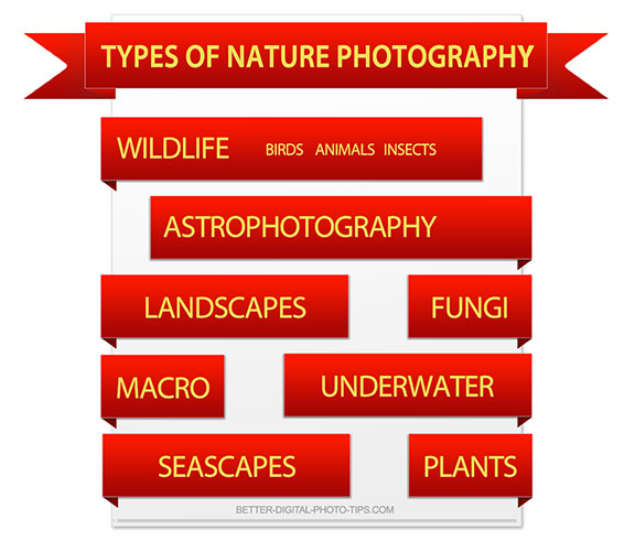 Types of nature photography