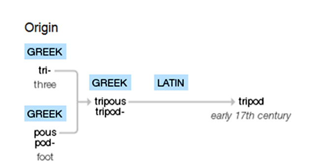 Origin of the Word Tripod