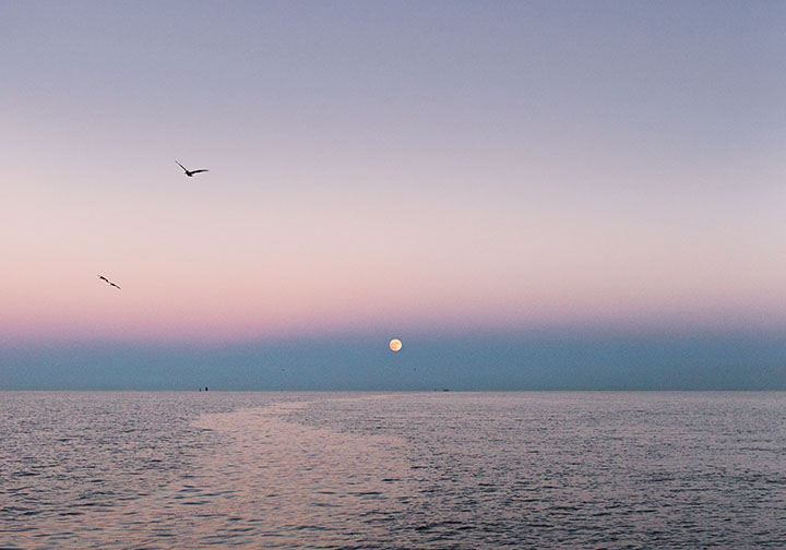 Moon at sunset