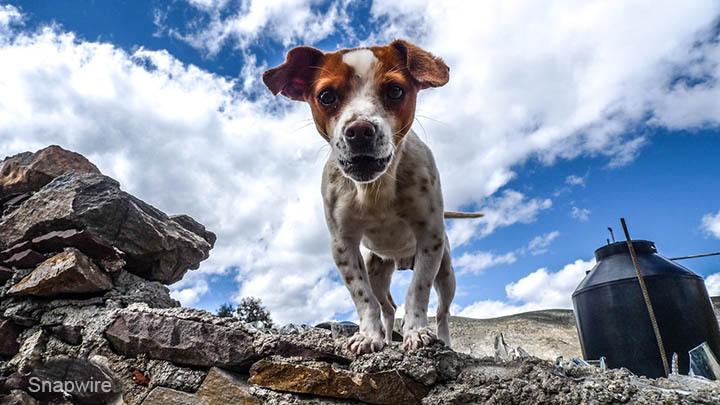 Depth of field from wide angle lens