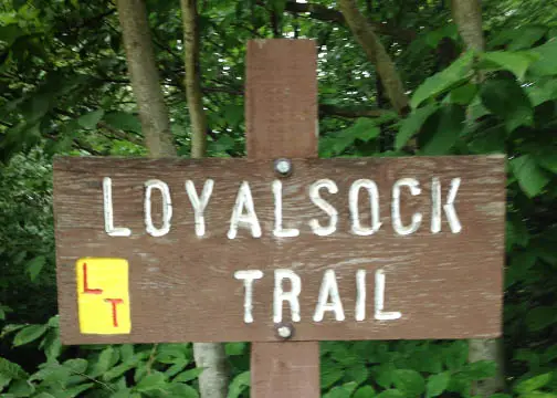 loyalsock trail sign