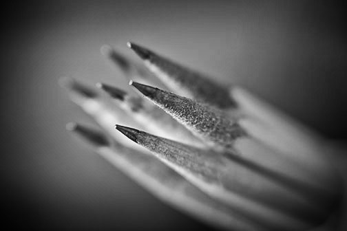 B+W pencil close-up