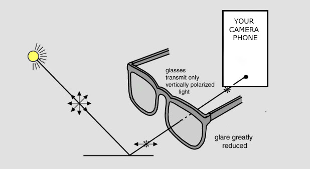 polarizer sunglasses and cell phone camera