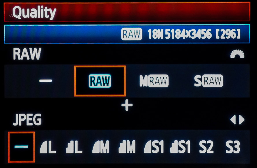 Raw camera setting mode