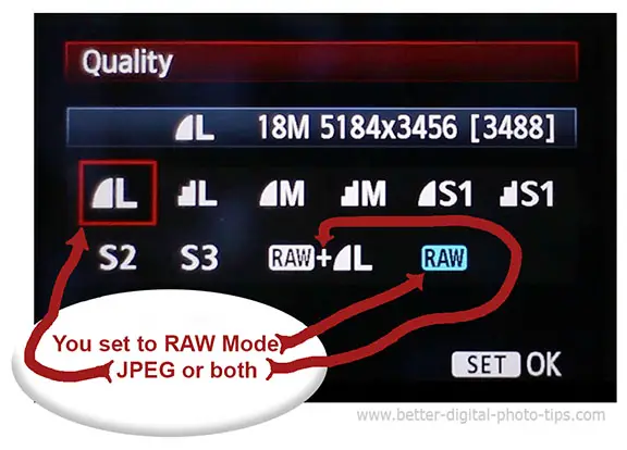 Raw and jpg camera settings