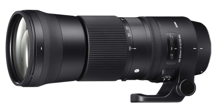 Sigma 150-600 Super Telephoto Zoom Lens