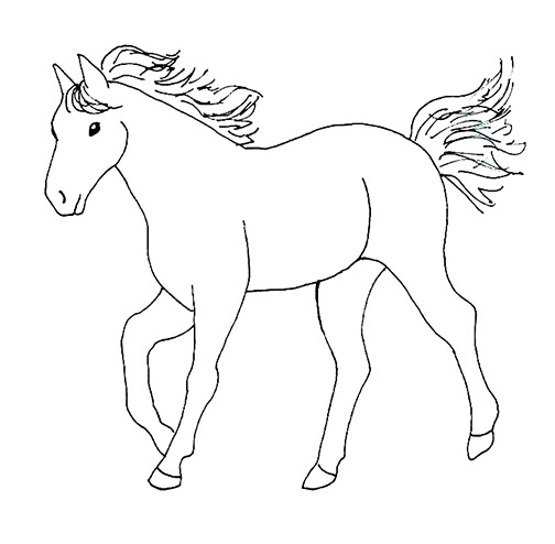 Simple horse drawing