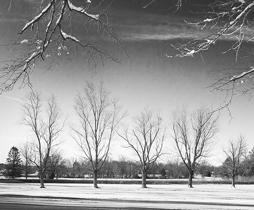 Black and white snow photo