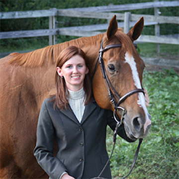 horse portrait