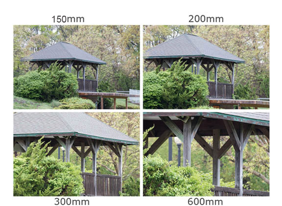 Tamron 150-600 focal length comparison