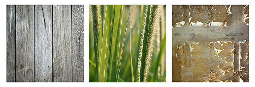 3 examples of texture photos