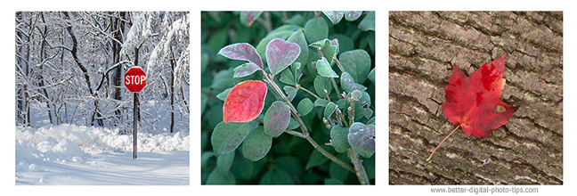 touch of color red composition