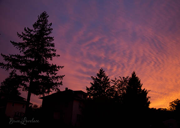 Colorful sunset silhouette