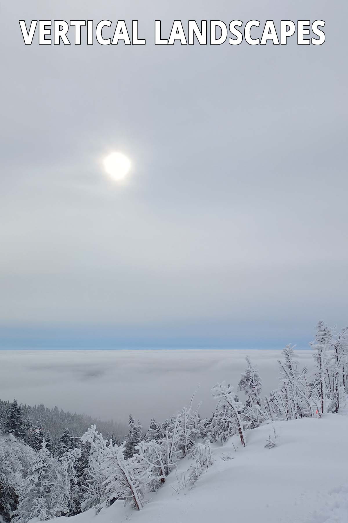 Peaceful snowy landscape