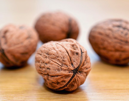 walnuts close up