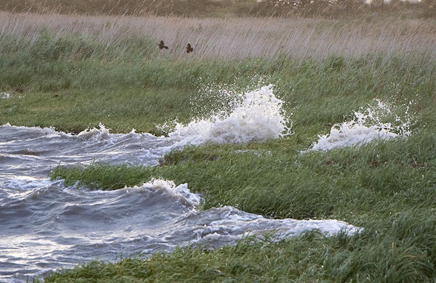 Waves-landscape 1/200 Second shutter speed