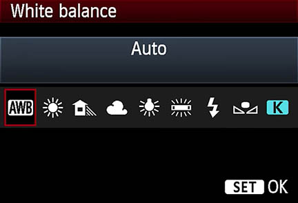 white balance settings options