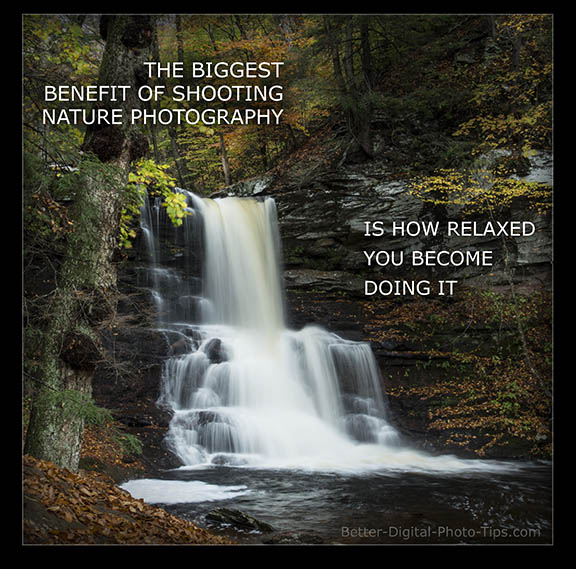 nature photography benefit