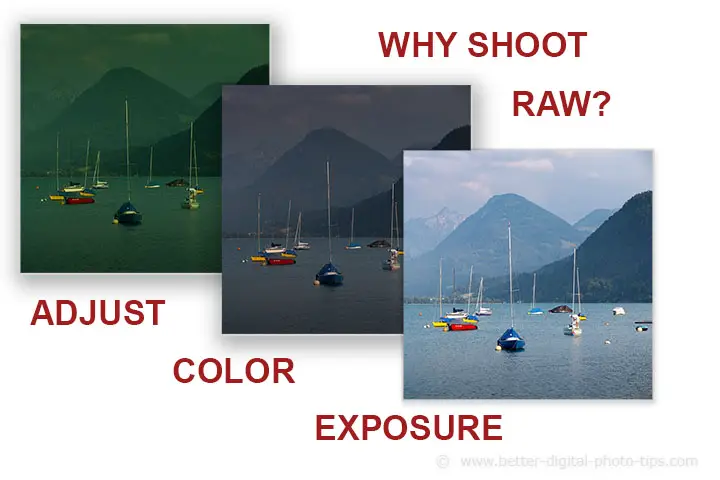 Raw vs jpg graphic