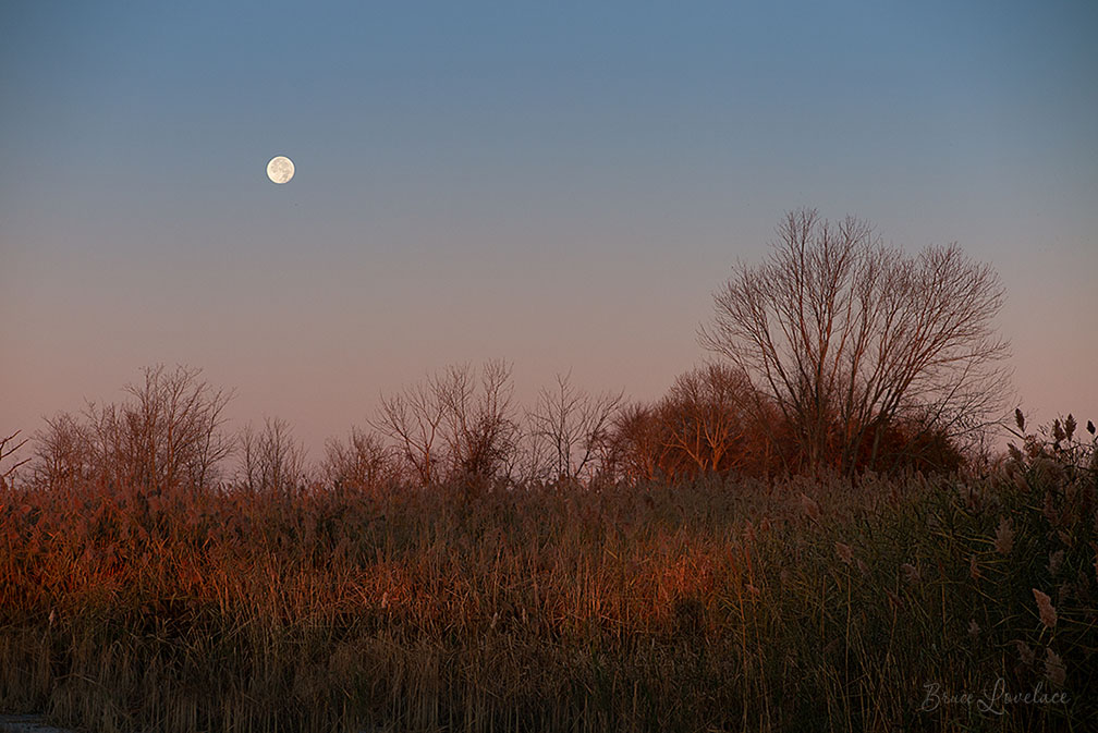 Wide angle lens for moon landscape