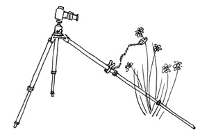 Diagram of Wimberley Plamp on tripod